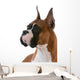 purebred boxer Wall Decal