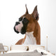 purebred boxer Wall Decal