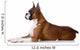 purebred boxer dog Wall Decal