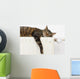 A tiger (tabby) cat relaxing on a warm radiator Wall Decal