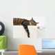 A tiger (tabby) cat relaxing on a warm radiator Wall Decal