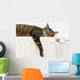 A tiger (tabby) cat relaxing on a warm radiator Wall Decal