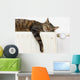 A tiger (tabby) cat relaxing on a warm radiator Wall Decal