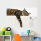 A tiger (tabby) cat relaxing on a warm radiator Wall Decal