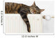 A tiger (tabby) cat relaxing on a warm radiator Wall Decal