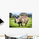 White Rhinoceros Wall Decal