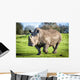 White Rhinoceros Wall Decal