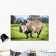 White Rhinoceros Wall Decal