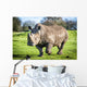 White Rhinoceros Wall Decal