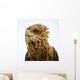 Eagle Looking for Its Wall Decal