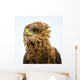Eagle Looking for Its Wall Decal