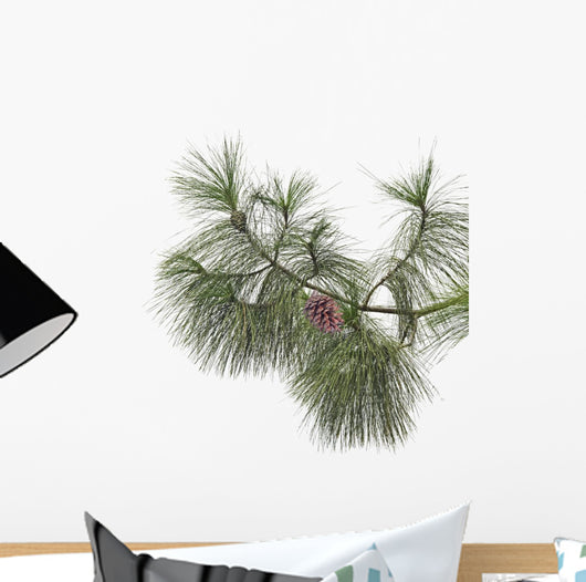 Pine branch with cones isolated on white background Wall Decal