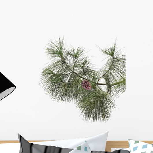 Pine branch with cones isolated on white background Wall Decal
