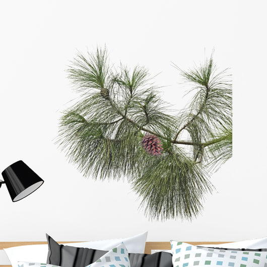 Pine branch with cones isolated on white background Wall Decal