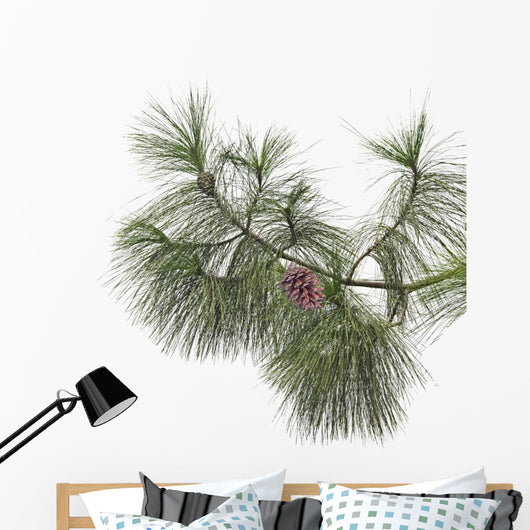 Pine branch with cones isolated on white background Wall Decal