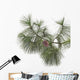 Pine branch with cones isolated on white background Wall Decal