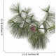 Pine branch with cones isolated on white background Wall Decal