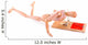 Mousetrap Captured Wooden Mannequin 2 Wall Decal