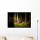 Whitetail Deer Buck Wall Decal