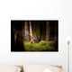 Whitetail Deer Buck Wall Decal