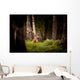 Whitetail Deer Buck Wall Decal