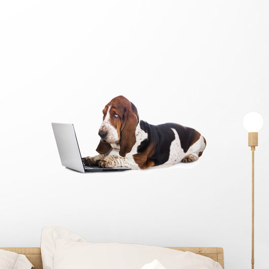 basset hound dog working on a computer Wall Decal