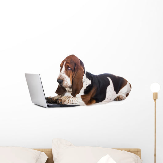 basset hound dog working on a computer Wall Decal