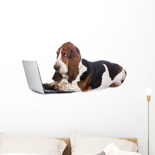 basset hound dog working on a computer Wall Decal