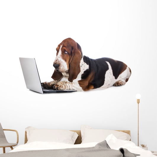 basset hound dog working on a computer Wall Decal