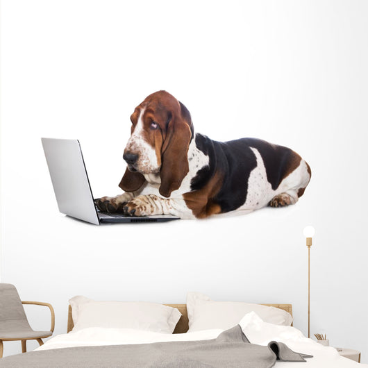 basset hound dog working on a computer Wall Decal