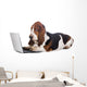 basset hound dog working on a computer Wall Decal