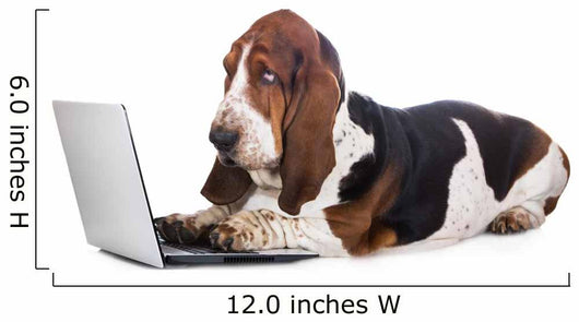 basset hound dog working on a computer Wall Decal