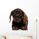 Dachshund puppy Wall Decal