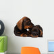 Dachshund puppies Wall Decal