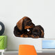 Dachshund puppies Wall Decal