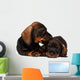 Dachshund puppies Wall Decal