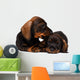 Dachshund puppies Wall Decal