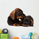 Dachshund puppies Wall Decal