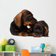 Dachshund puppies Wall Decal