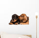 Dachshund puppies Wall Decal