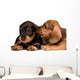 Dachshund puppies Wall Decal