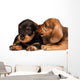 Dachshund puppies Wall Decal