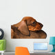 Dachshund puppies Wall Decal