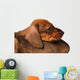 Dachshund puppies Wall Decal