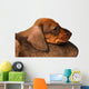 Dachshund puppies Wall Decal