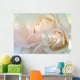 karte rose in weiss Wall Decal