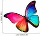 rainbow butterfly Wall Decal