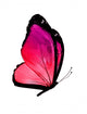 pink butterfly Wall Decal