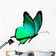 Turquoise butterfly Wall Decal