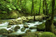 Mountain Waterfall Wall Decal